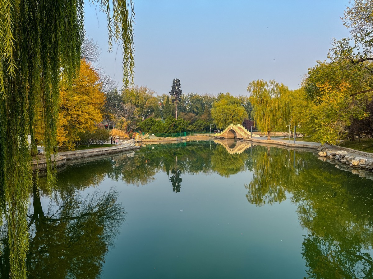 2024年第0847贴-龙潭公园纪实游拍（1110）