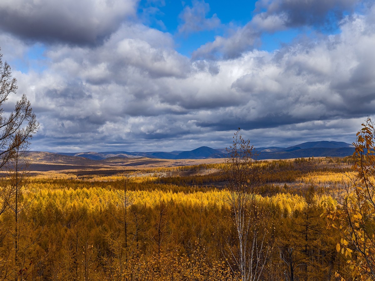 旅游记录 ：内蒙古 · 兴安盟 · 阿尔山 · 阿尔山国家森林公园