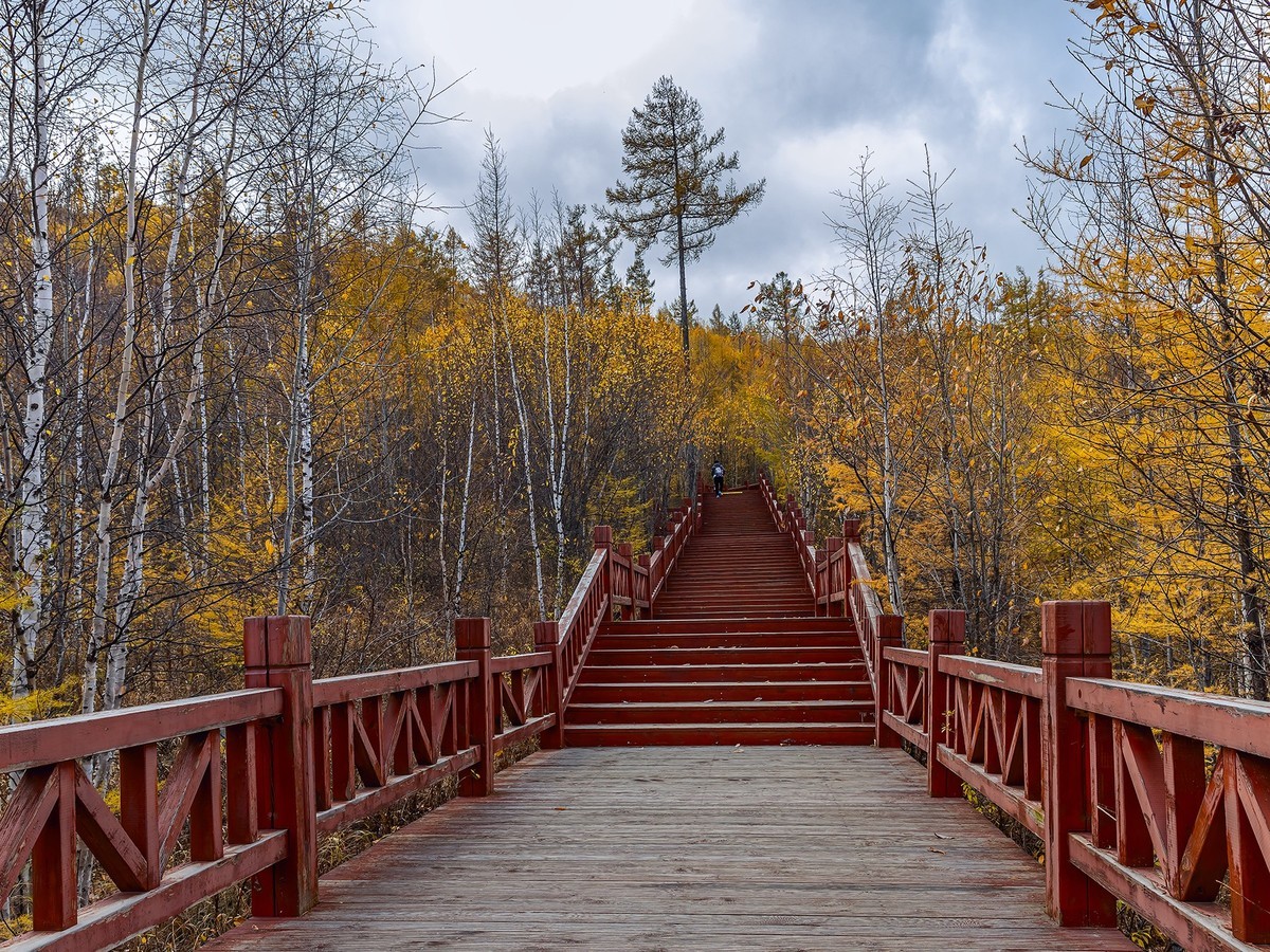 旅游记录 ：内蒙古 · 兴安盟 · 阿尔山 · 阿尔山国家森林公园