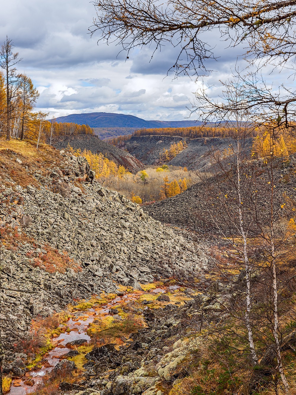 旅游记录 ：内蒙古 · 兴安盟 · 阿尔山 · 阿尔山国家森林公园