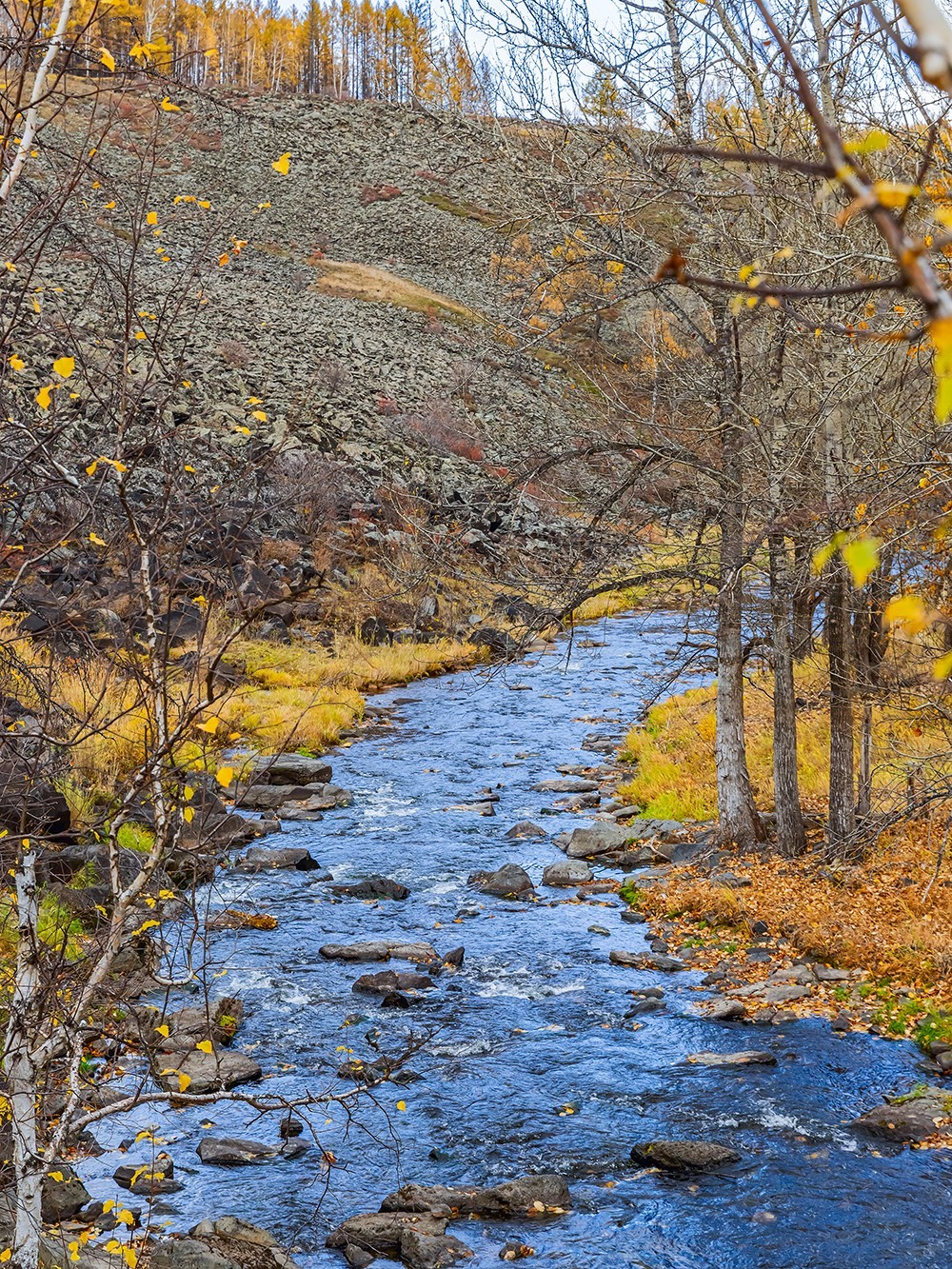 旅游记录 ：内蒙古 · 兴安盟 · 阿尔山 · 阿尔山国家森林公园