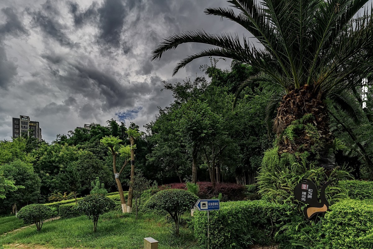 曲靖 · 街拍陆良