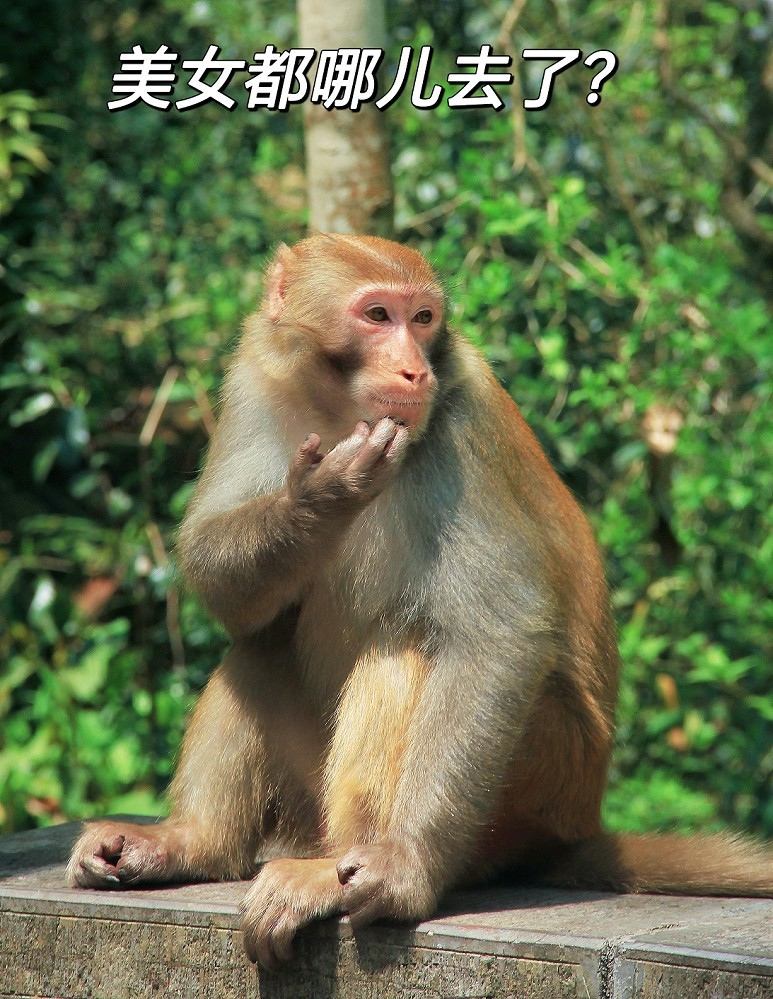 旅游抓拍竟然遇上《打劫的和妹子花草风景》片，出行要小心！来组热闹贴周末愉快！
