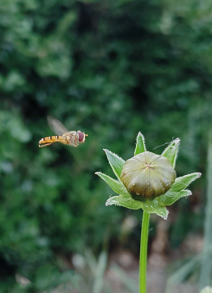 旅游抓拍竟然遇上《打劫的和妹子花草风景》片，出行要小心！来组热闹贴周末愉快！