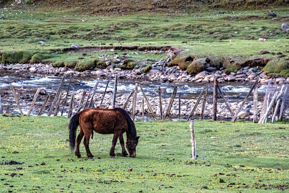 秋行川西高原--新都桥路拍【5】续发