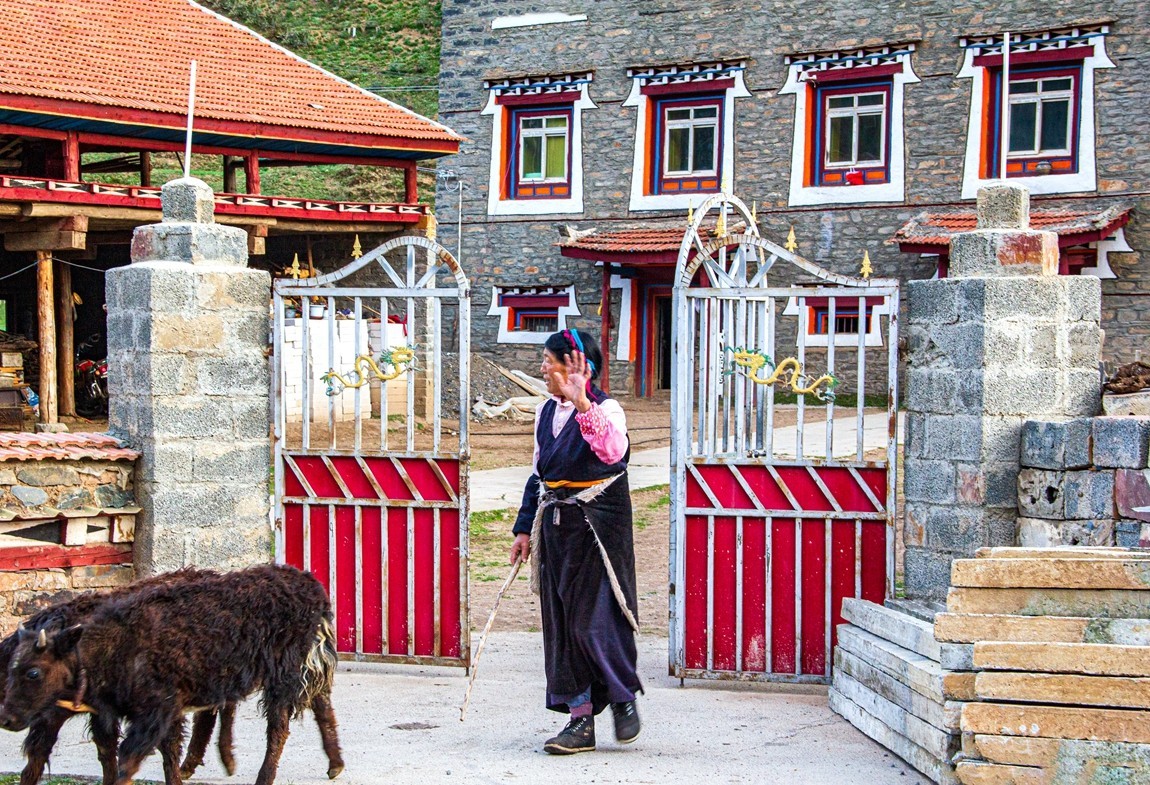 秋行川西高原--新都桥路拍【6】