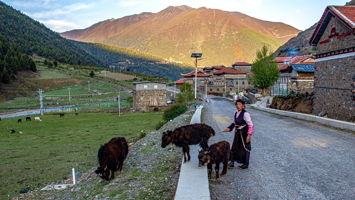 秋行川西高原--新都桥路拍【6】