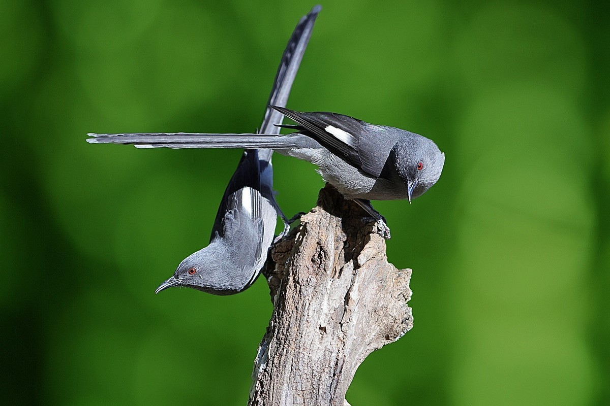 祝各位老师龙年吉祥，新的一年身体健康，阖家幸福，万事如意，快快乐乐每一天！