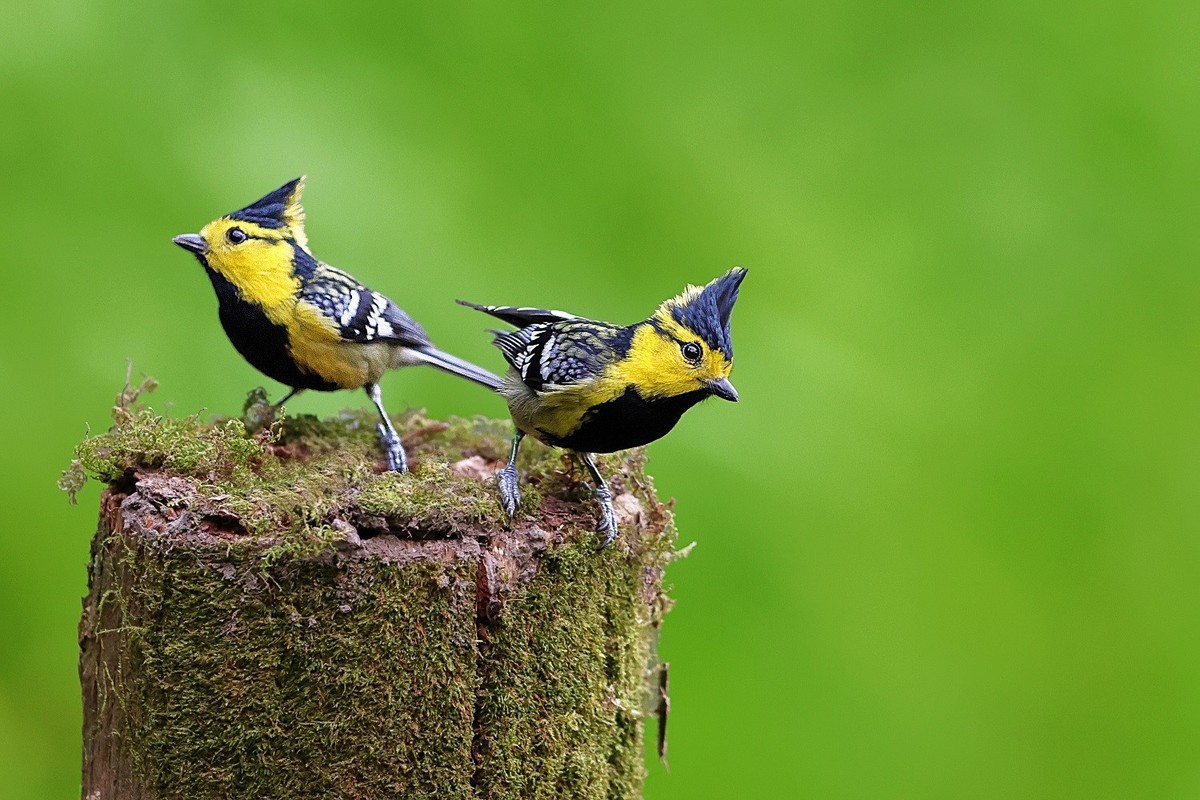 祝各位老师龙年吉祥，新的一年身体健康，阖家幸福，万事如意，快快乐乐每一天！