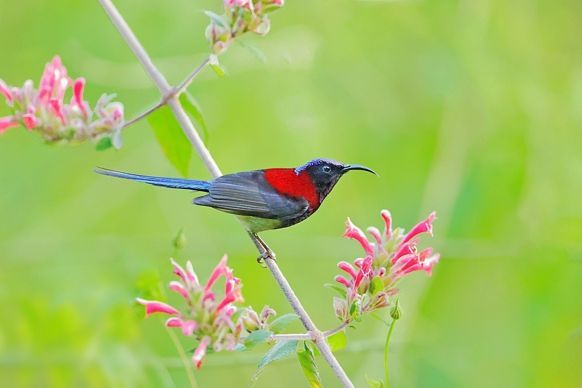 祝各位老师龙年吉祥，新的一年身体健康，阖家幸福，万事如意，快快乐乐每一天！
