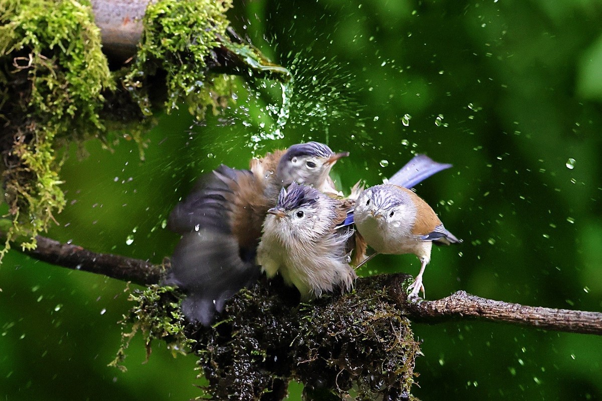 祝各位老师龙年吉祥，新的一年身体健康，阖家幸福，万事如意，快快乐乐每一天！