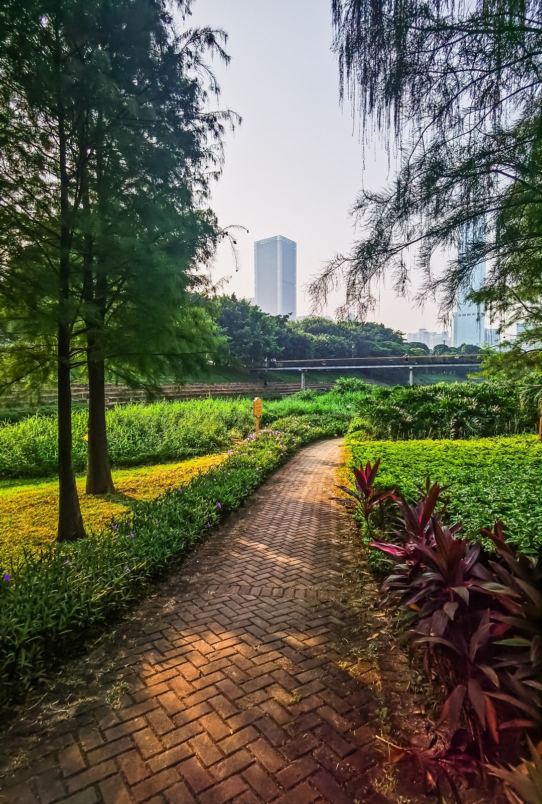深圳中心公园～ 掠影