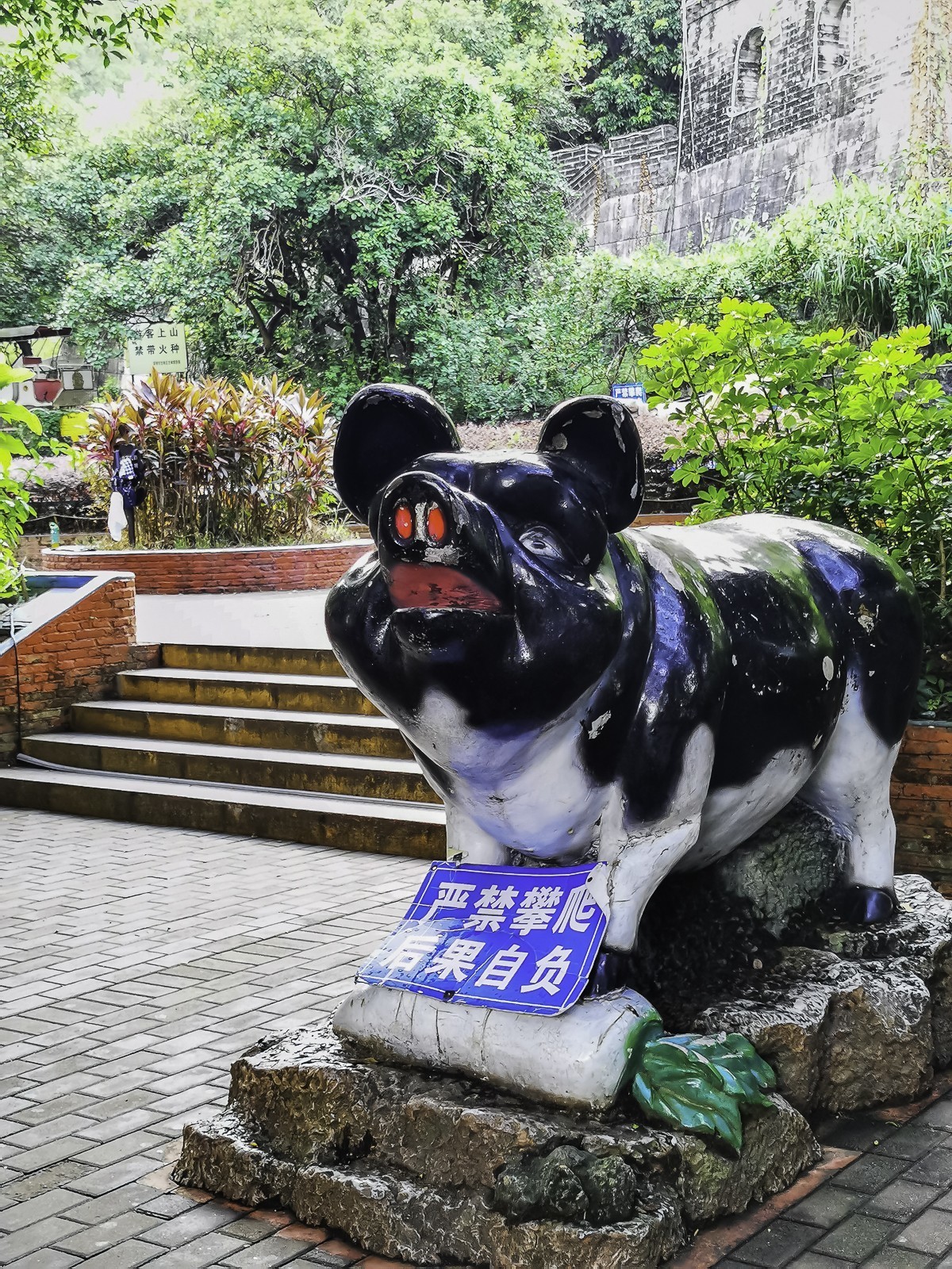 深圳求水山公园～ 掠影