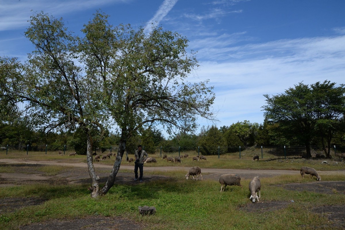 镜泊——喷气碟湿地（3）