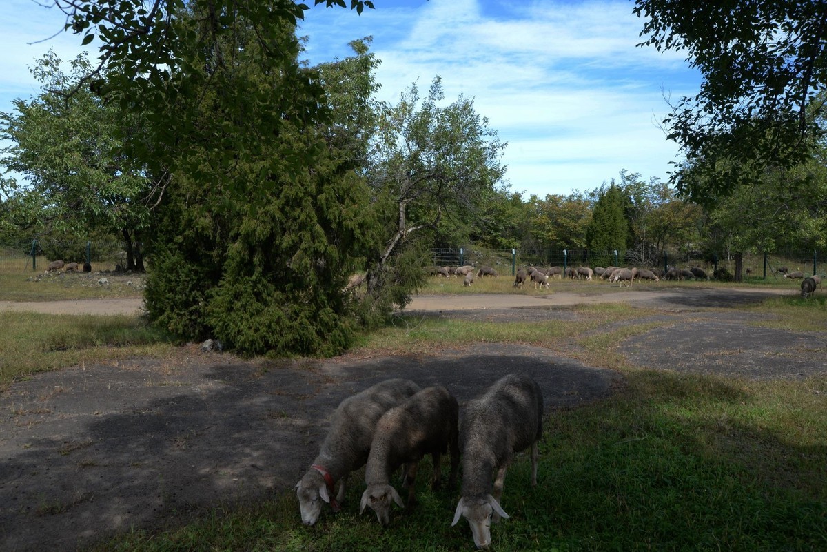 镜泊——喷气碟湿地（3）
