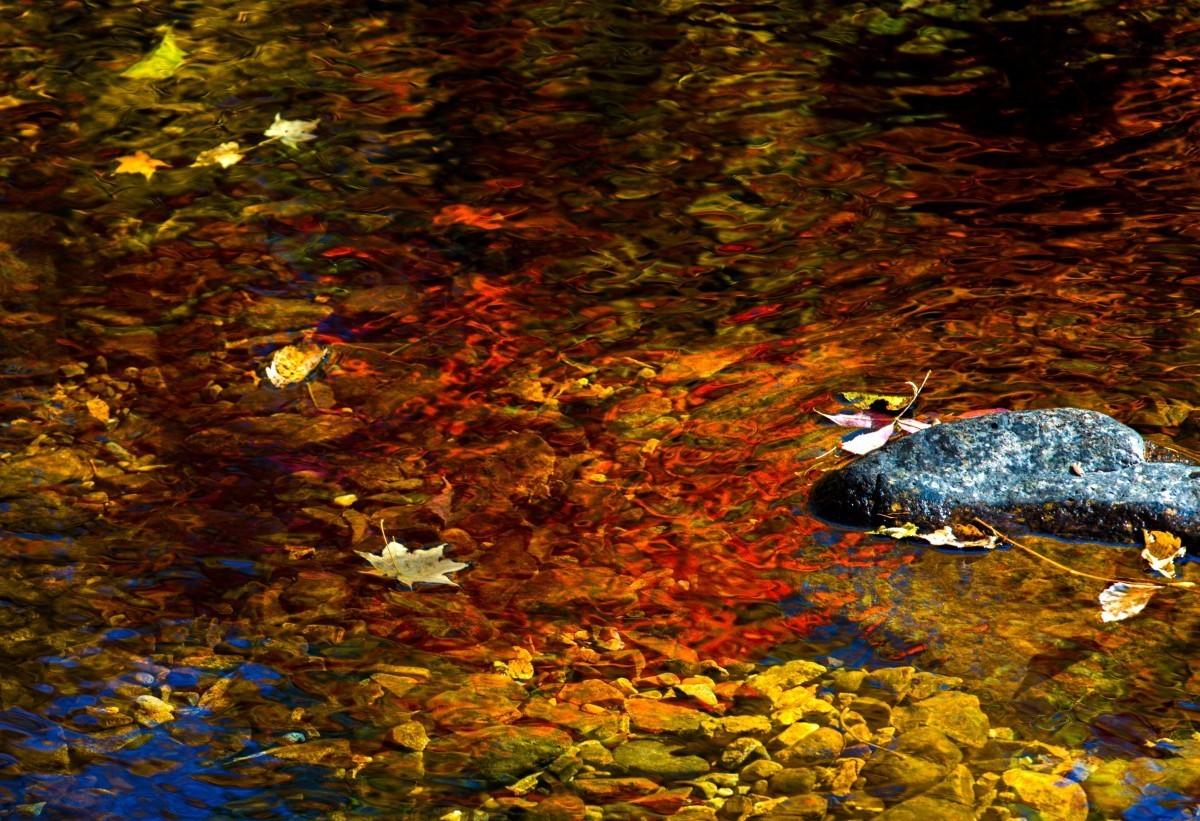 外出随拍（续250）.