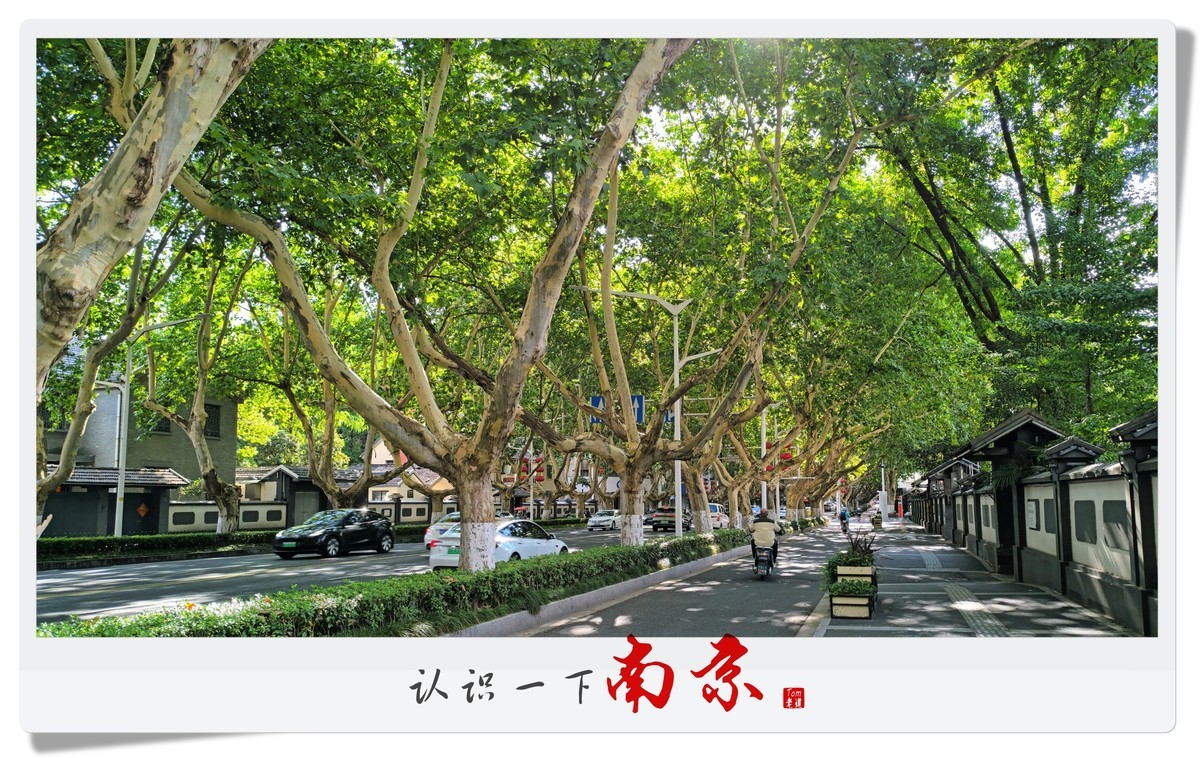 认识一下南京！