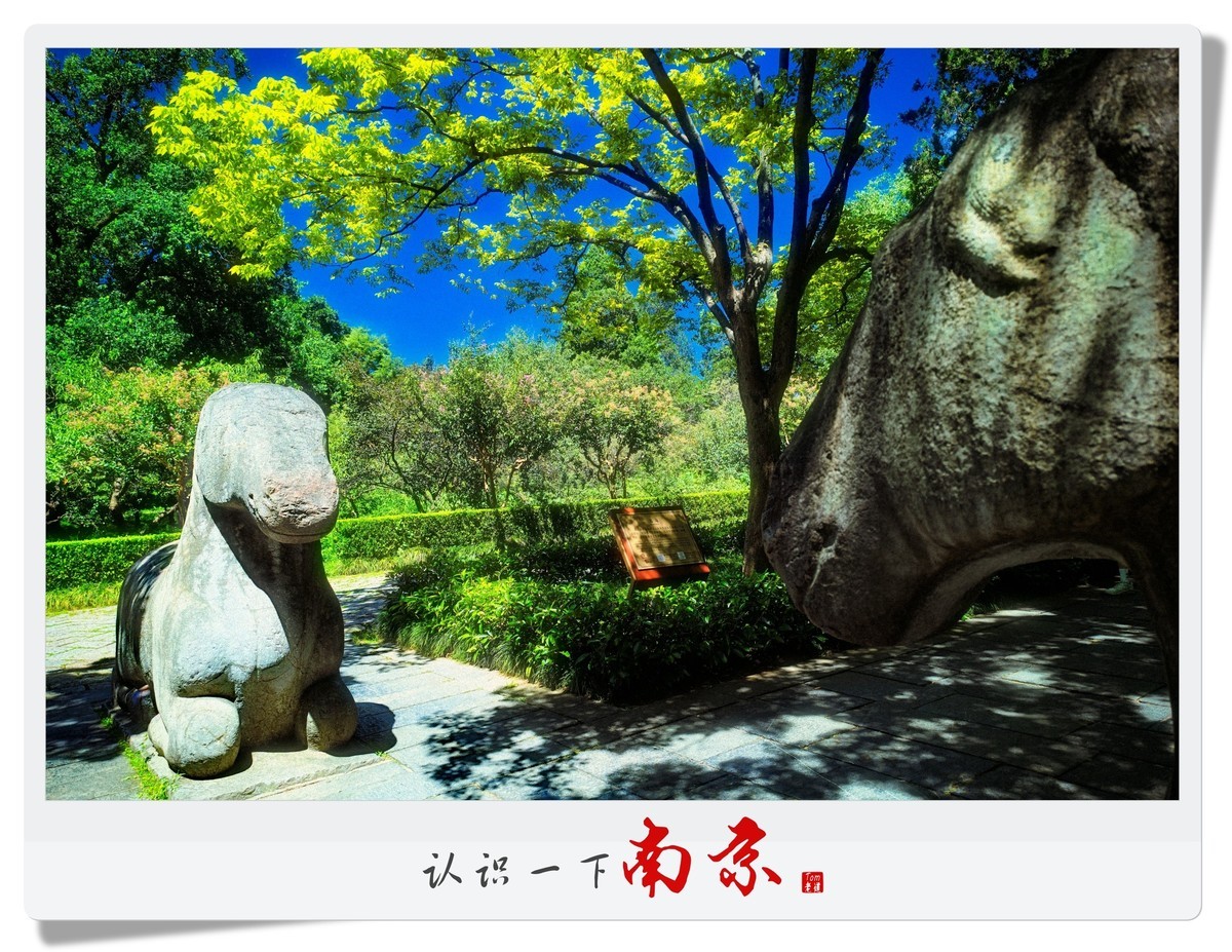 认识一下南京！