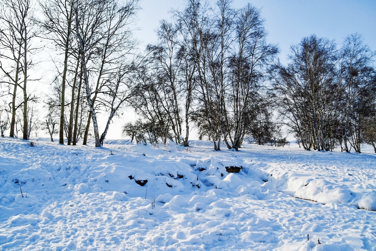 我只是把出去看到的随手记录下来（八十四）