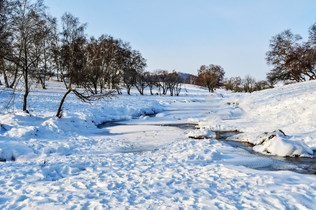 我只是把出去看到的随手记录下来（八十四）