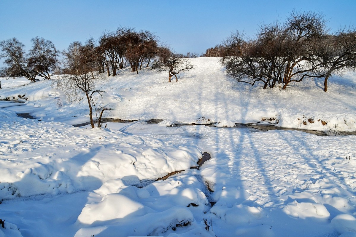 我只是把出去看到的随手记录下来（八十四）