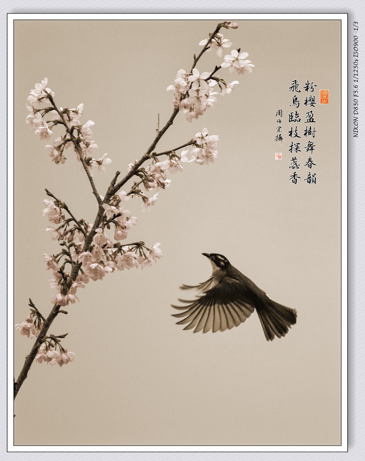 花鸟图（五）