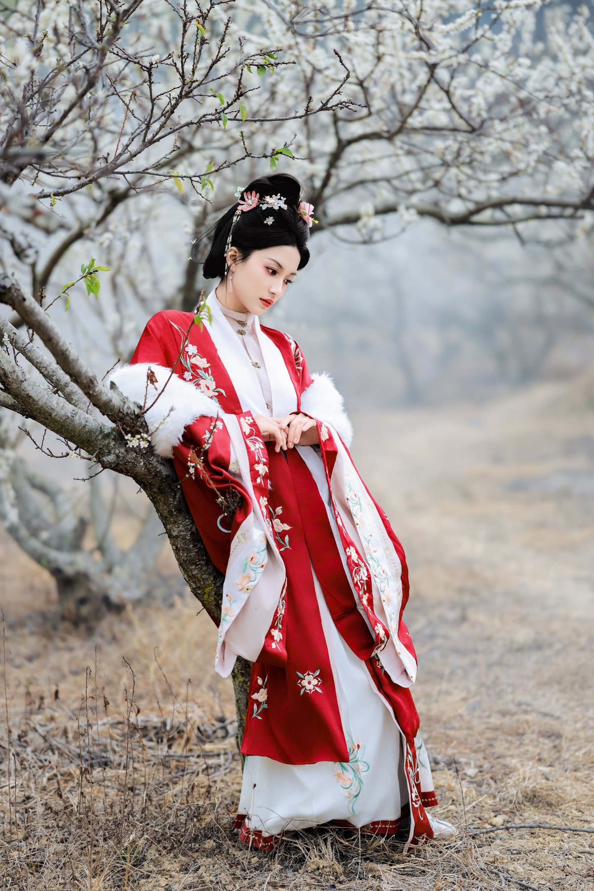 李花树下的一缕红