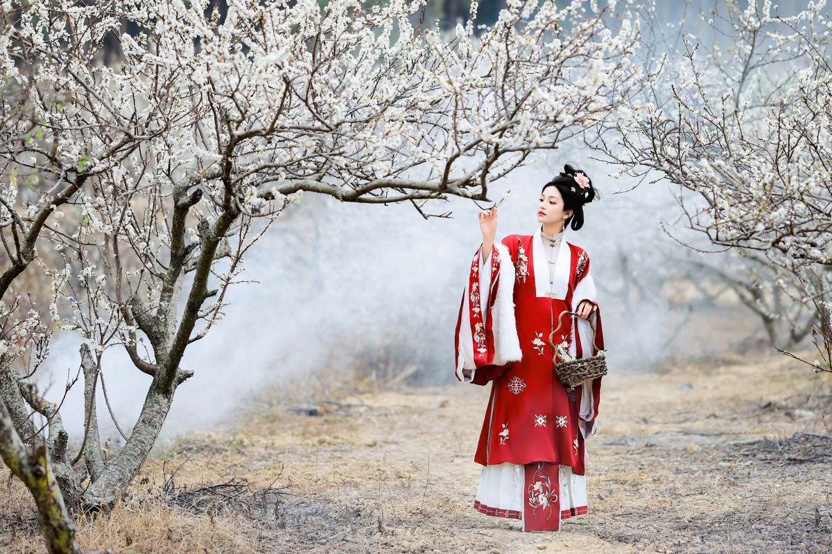 李花树下的一缕红