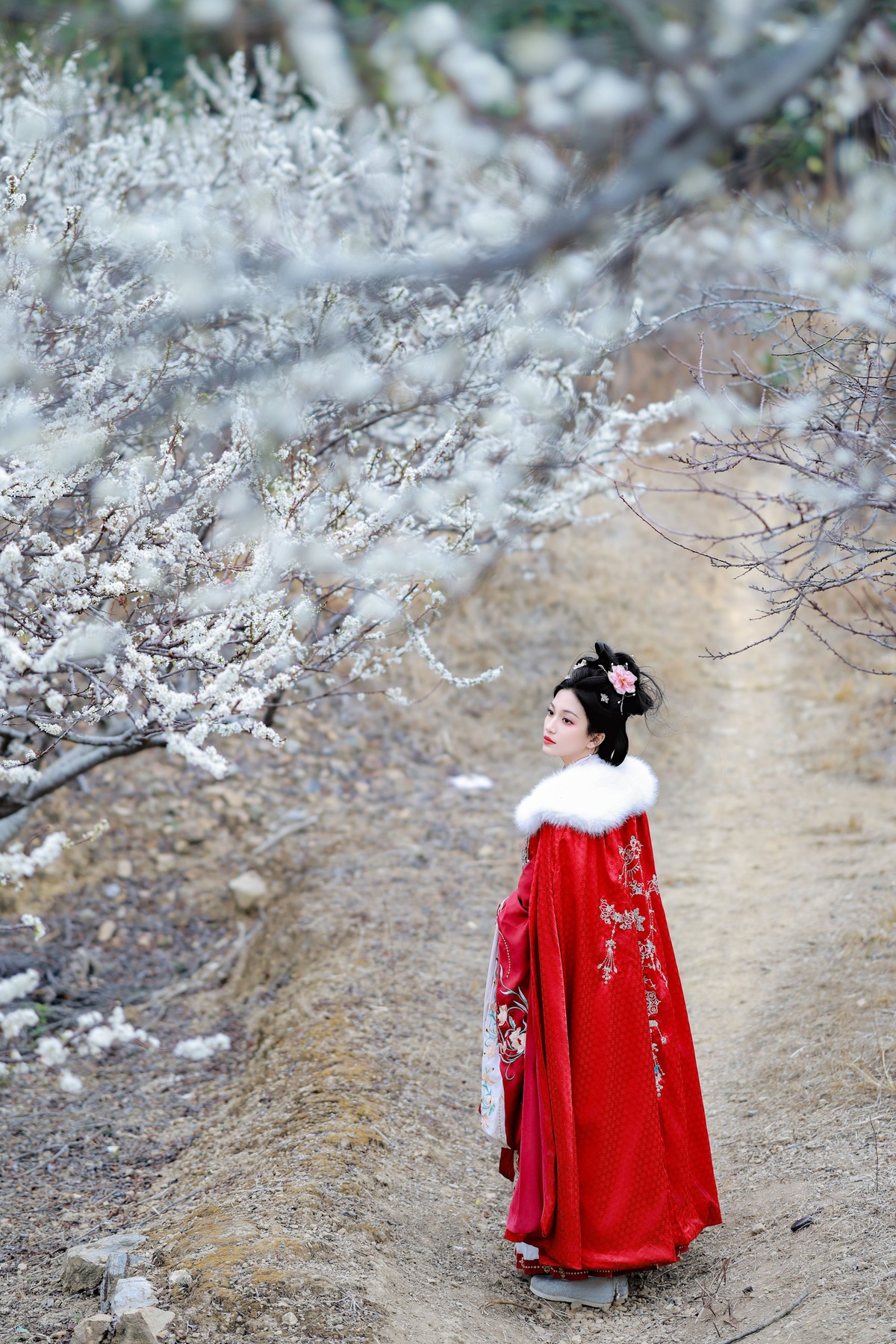 李花树下的一缕红