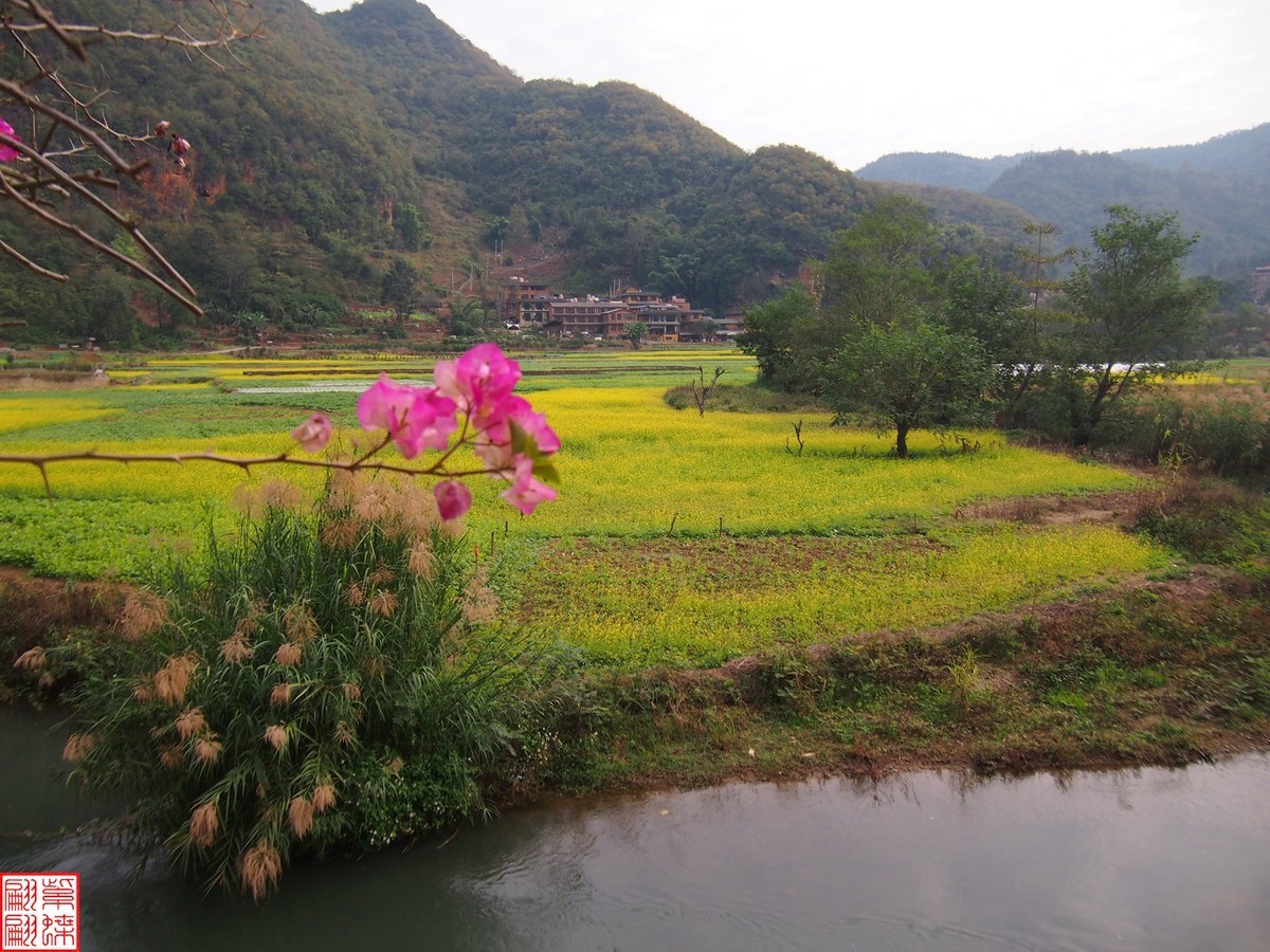 2023.12.22坝美随拍（14）