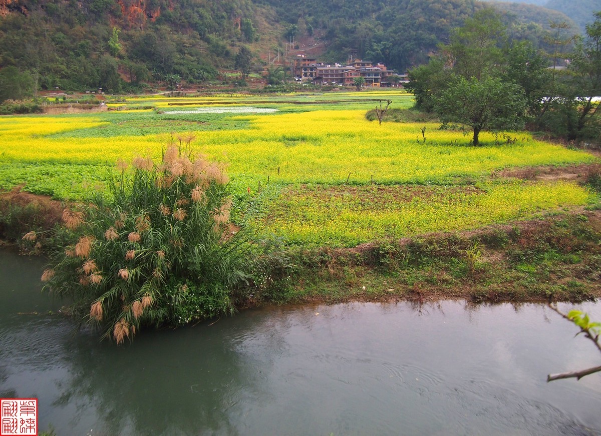 2023.12.22坝美随拍（14）