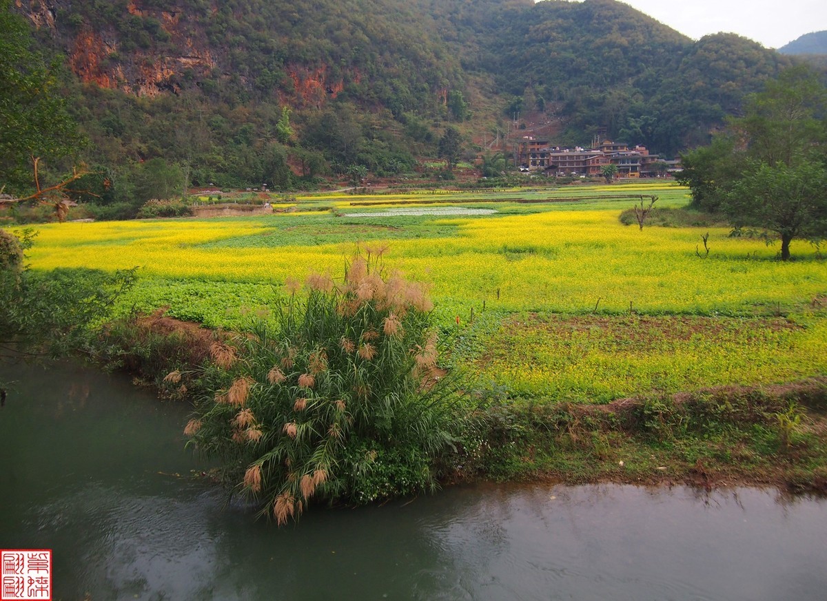 2023.12.22坝美随拍（14）