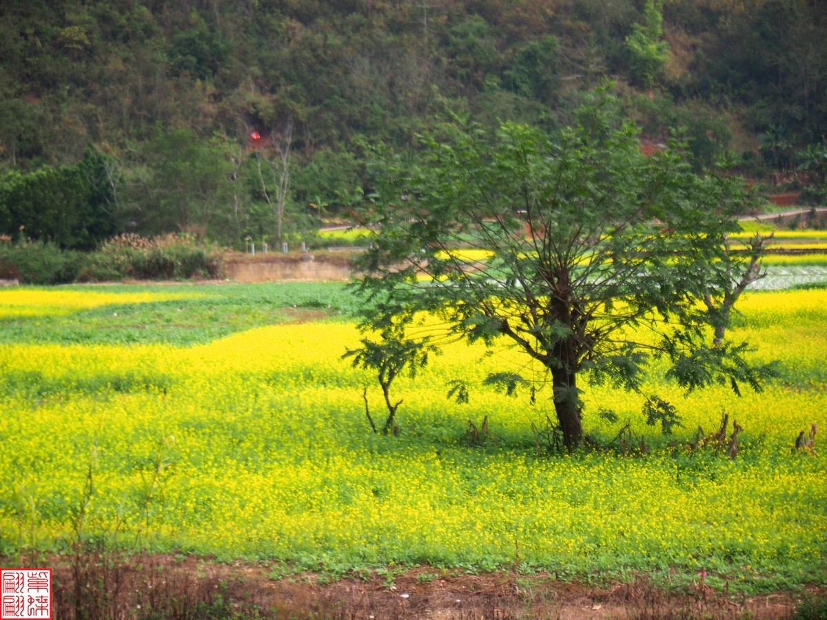 2023.12.22坝美随拍（14）