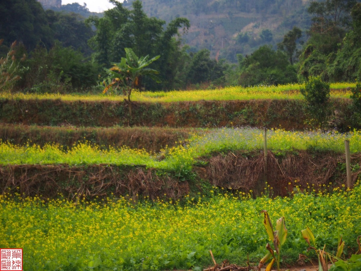 2023.12.22坝美随拍（14）
