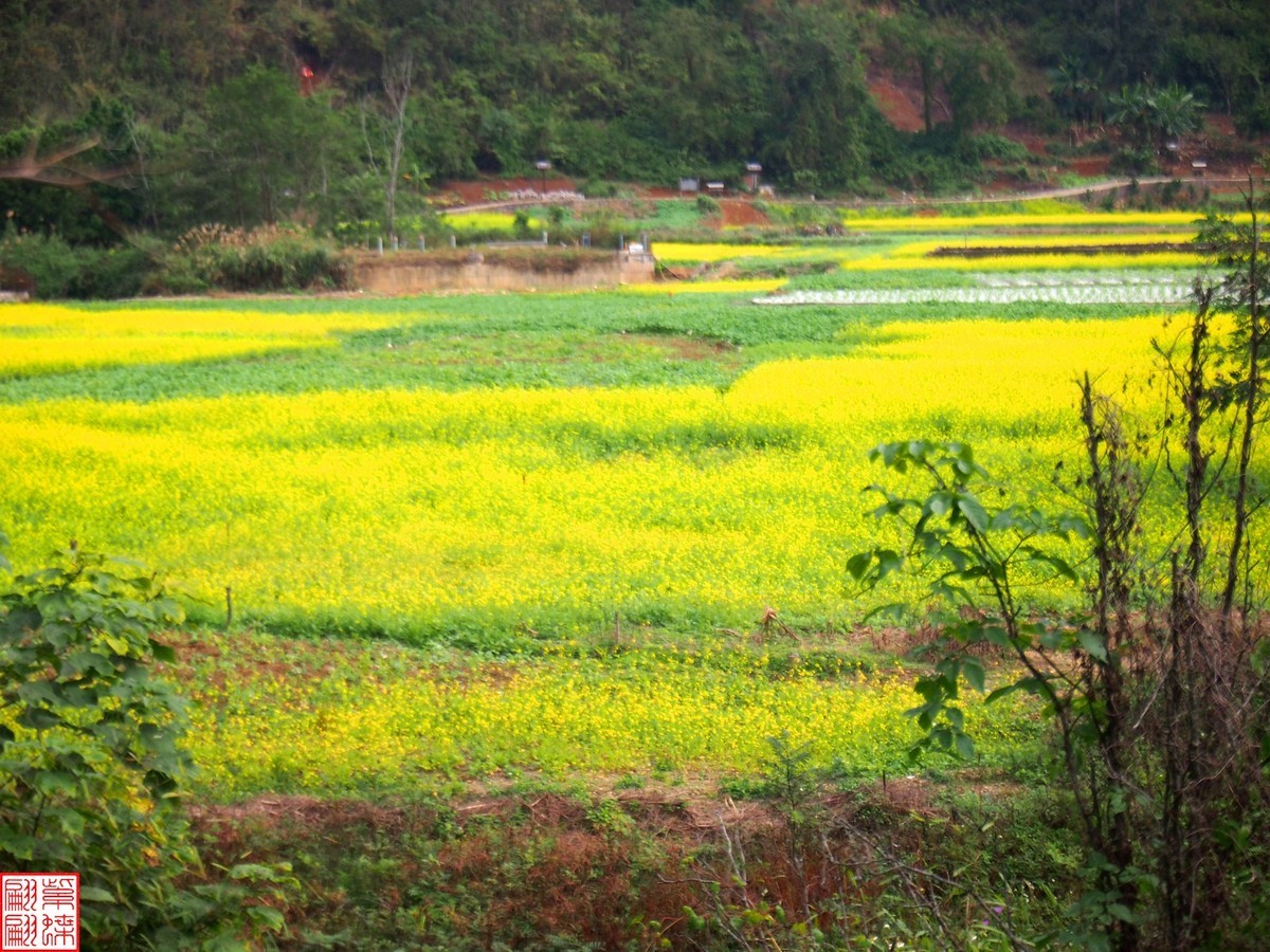 2023.12.22坝美随拍（14）