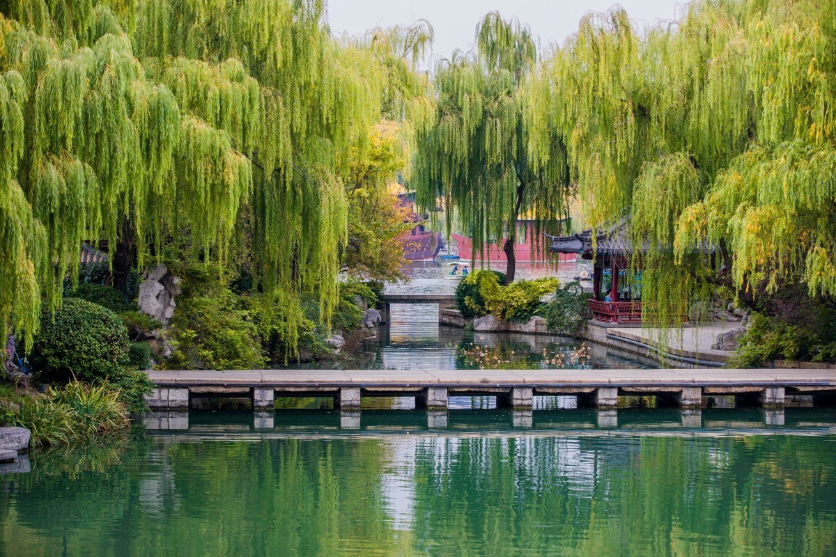 外出随拍（403）.