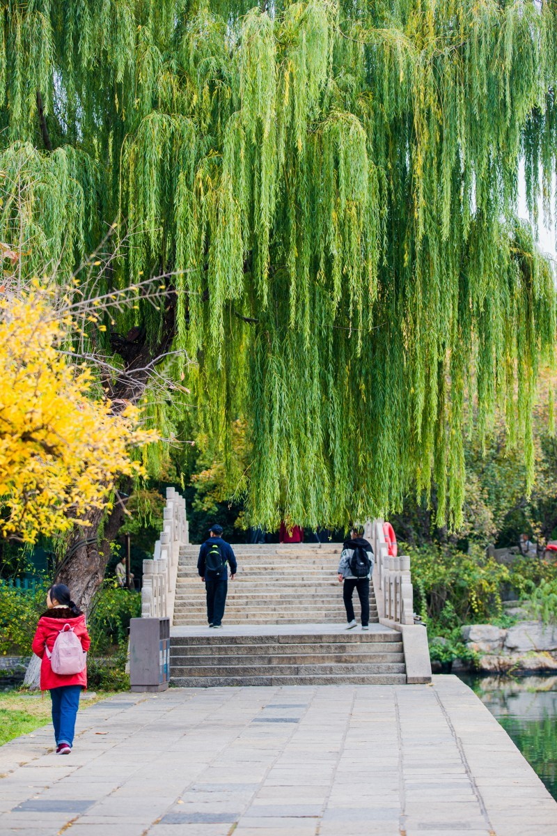 外出随拍（403）.