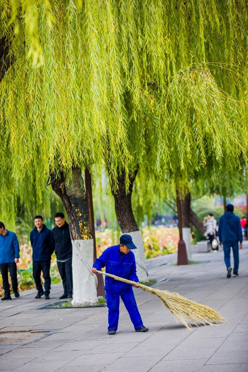 外出随拍（403）.