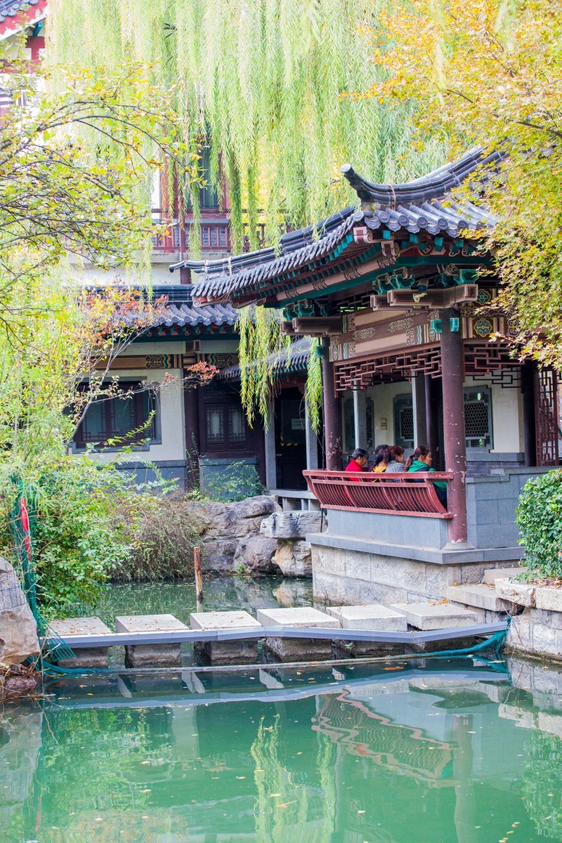 外出随拍（403）.