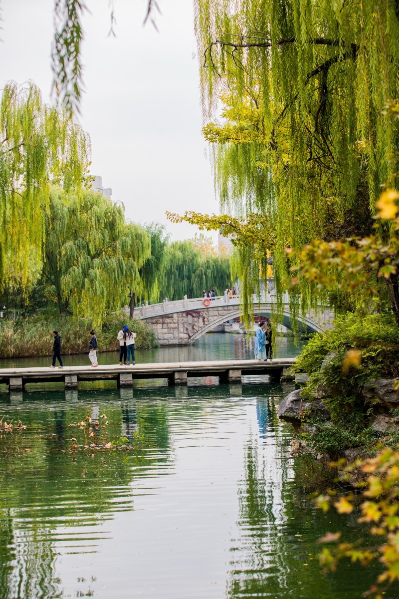 外出随拍（403）.