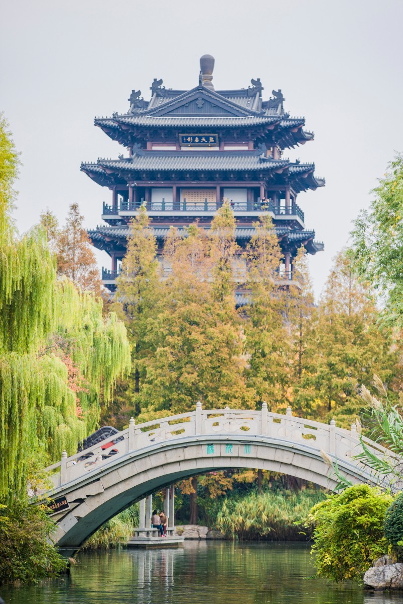 外出随拍（403）.