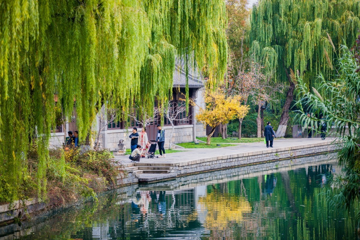 外出随拍（403）.