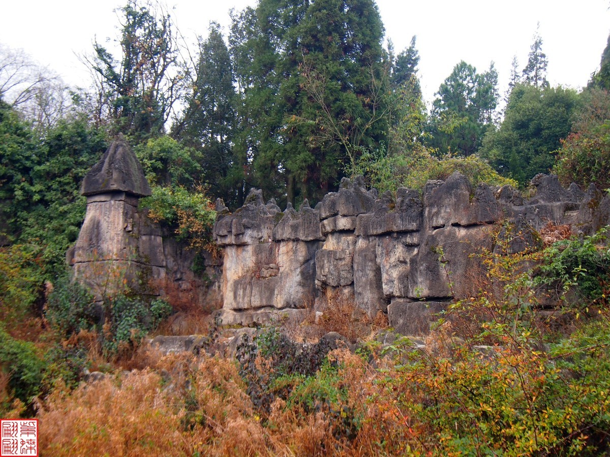 珠江源随拍（8）