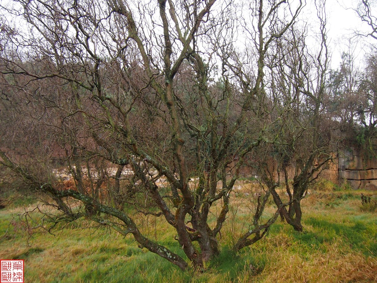 珠江源随拍（8）