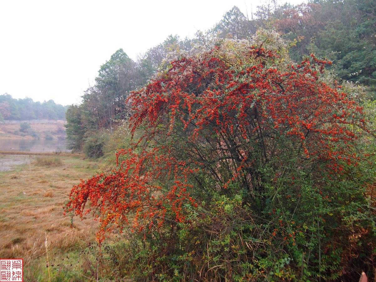 珠江源随拍（8）