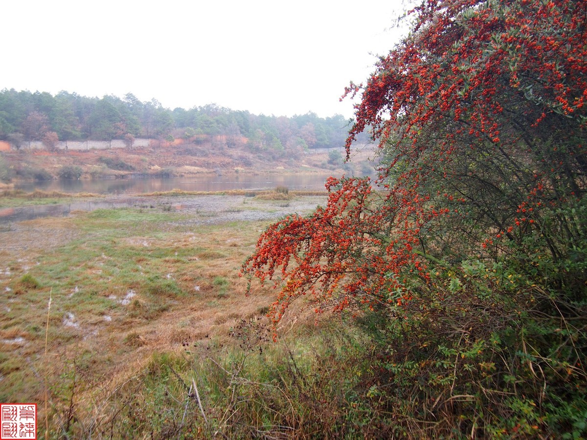 珠江源随拍（8）