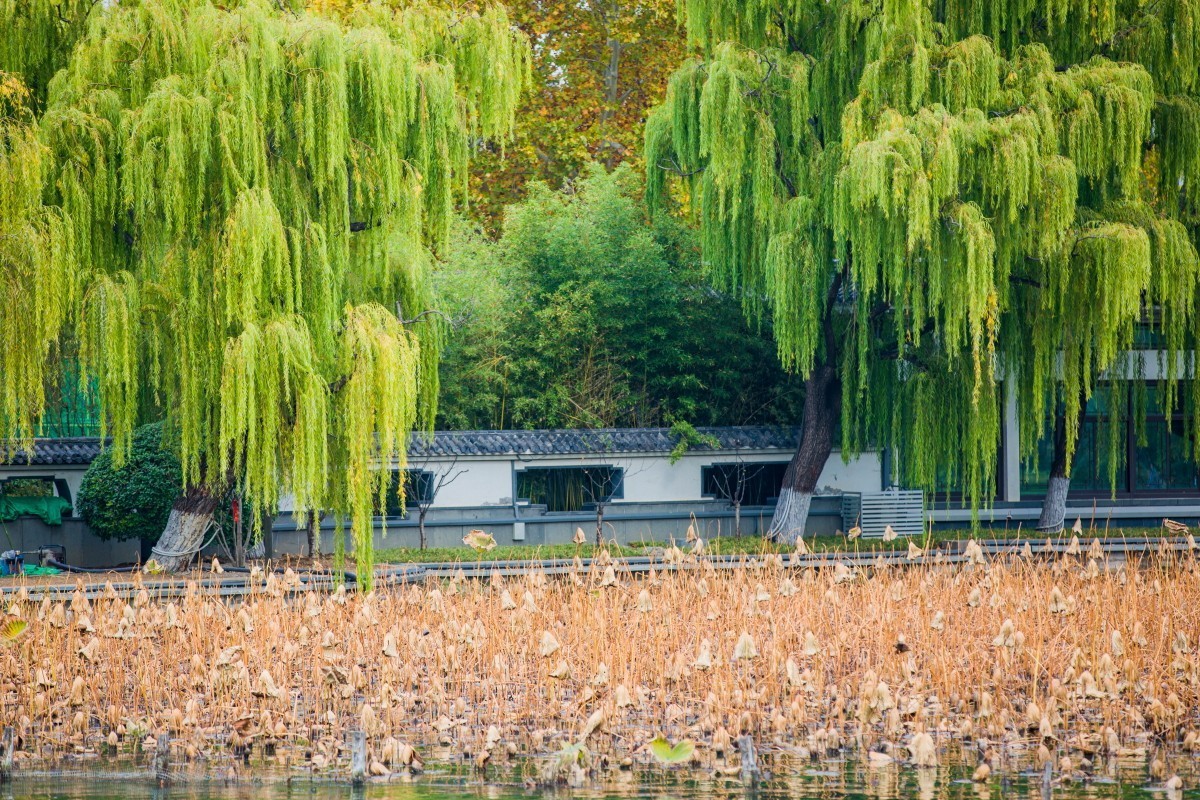 外出随拍（404）.