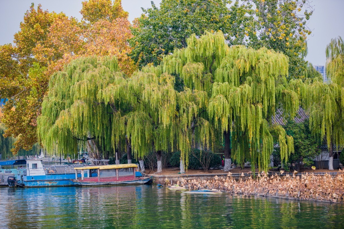 外出随拍（404）.