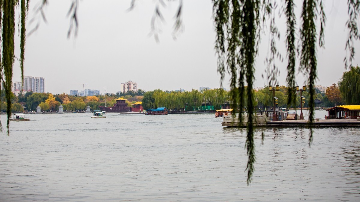 外出随拍（404）.