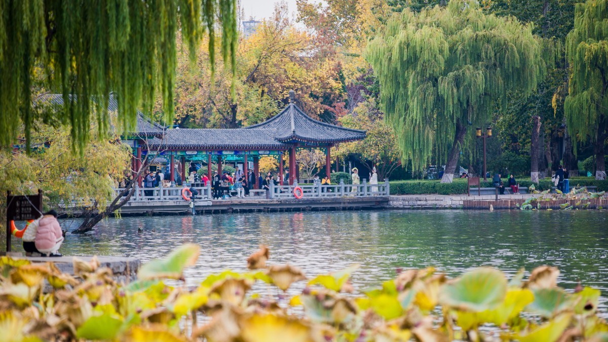 外出随拍（404）.